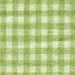 fabric color - green gingham